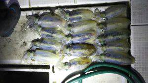 さぶろう丸 釣果