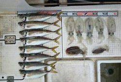 さぶろう丸 釣果