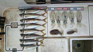 さぶろう丸 釣果