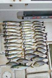 さぶろう丸 釣果