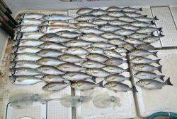 さぶろう丸 釣果