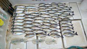 さぶろう丸 釣果