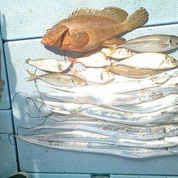 第二常豊丸 釣果