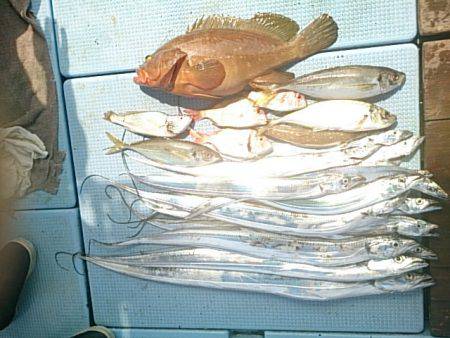 第二常豊丸 釣果