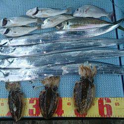 第二常豊丸 釣果