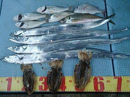 第二常豊丸 釣果