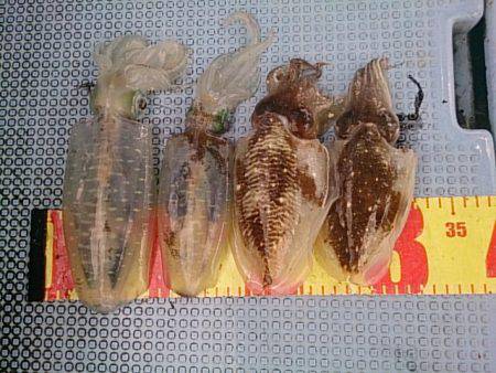 第二常豊丸 釣果