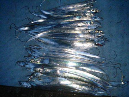 第二常豊丸 釣果