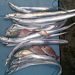 第二常豊丸 釣果