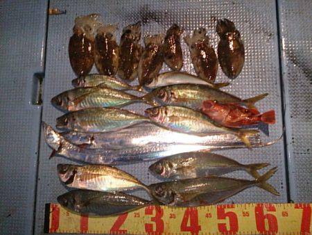 第二常豊丸 釣果