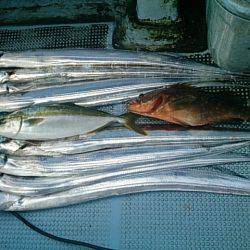 第二常豊丸 釣果