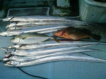 第二常豊丸 釣果