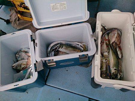 第二常豊丸 釣果