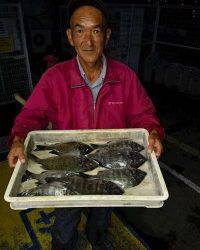 和歌山マリーナシティ釣り公園 釣果