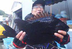 伊豆下田フィッシング 釣果