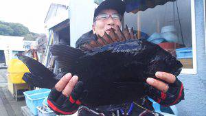 伊豆下田フィッシング 釣果