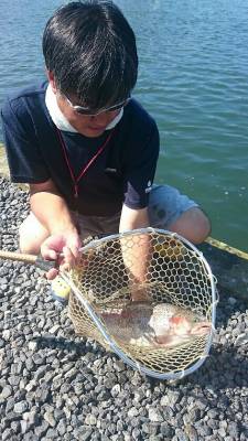 朝霞ガーデン 釣果