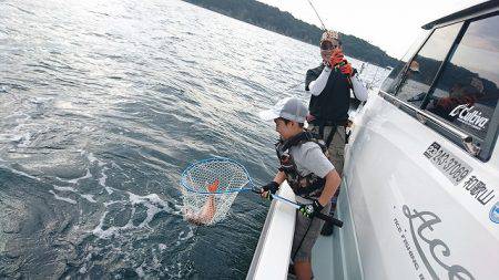 フィッシングボートACE(エース) 釣果