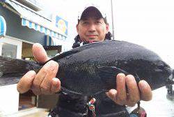 伊豆下田フィッシング 釣果