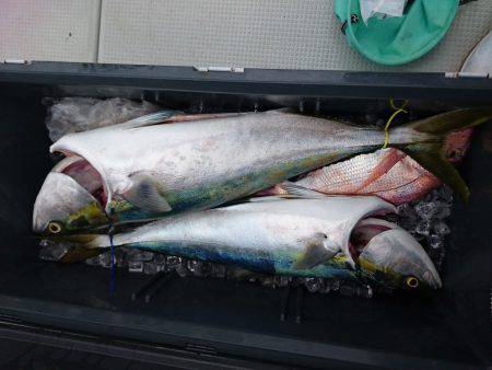 松運丸 釣果