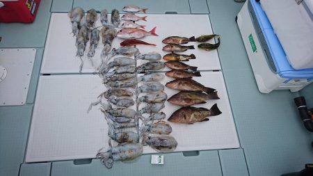 フィッシングボートACE(エース) 釣果