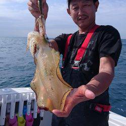 フィッシングボートACE（エース） 釣果