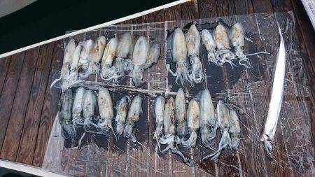 フィッシングボートACE(エース) 釣果