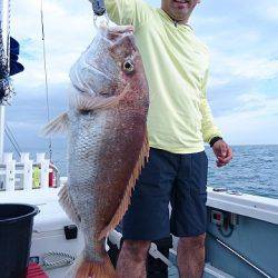 フィッシングボートACE(エース) 釣果