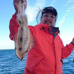 フィッシングボートACE(エース) 釣果