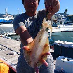 フィッシングボートACE(エース) 釣果