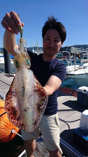 フィッシングボートACE(エース) 釣果