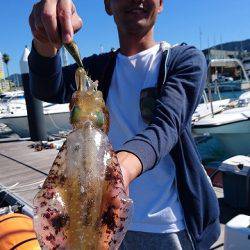 フィッシングボートACE(エース) 釣果