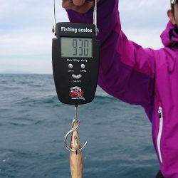 フィッシングボートACE(エース) 釣果