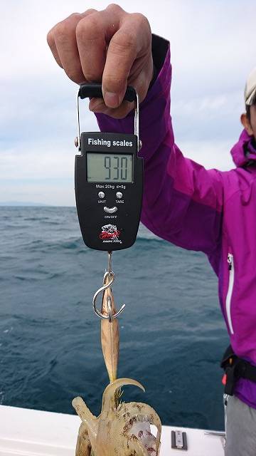 フィッシングボートACE(エース) 釣果