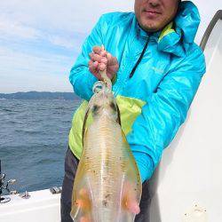 フィッシングボートACE(エース) 釣果