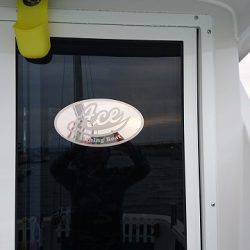 フィッシングボートACE(エース) 釣果