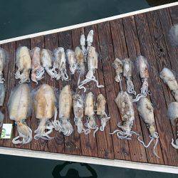 フィッシングボートACE（エース） 釣果