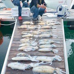 フィッシングボートACE(エース) 釣果