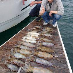 フィッシングボートACE(エース) 釣果