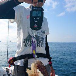 フィッシングボートACE（エース） 釣果