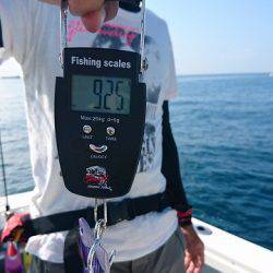 フィッシングボートACE（エース） 釣果