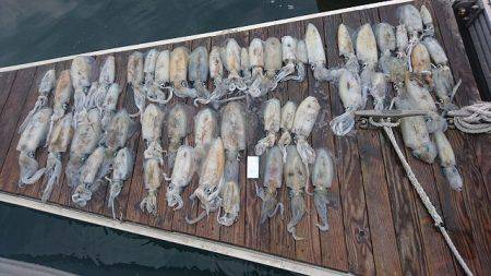 フィッシングボートACE（エース） 釣果