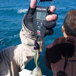 フィッシングボートACE（エース） 釣果