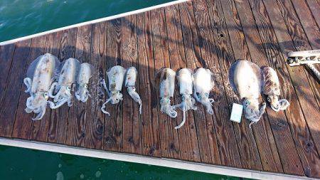 フィッシングボートACE（エース） 釣果