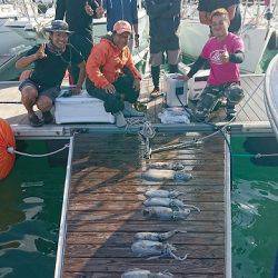 フィッシングボートACE（エース） 釣果