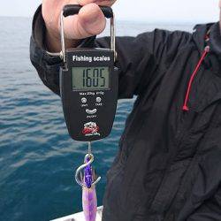 フィッシングボートACE(エース) 釣果