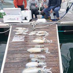 フィッシングボートACE(エース) 釣果