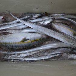 アジアマリンサービス 釣果