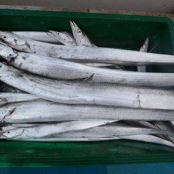 アジアマリンサービス 釣果