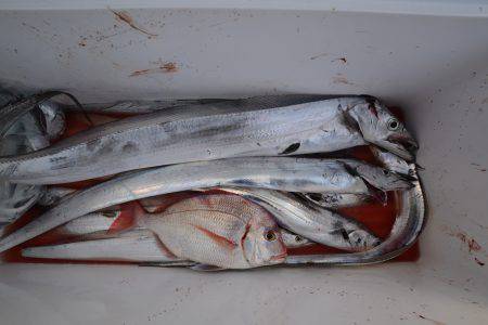 アジアマリンサービス 釣果